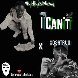 I Can't (feat. Sosatruu)