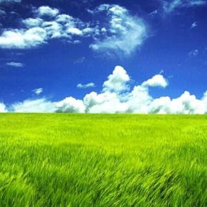 愿世间美好与你环环相扣