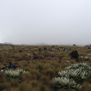 Kenya15: Parts 3, 5, & 6