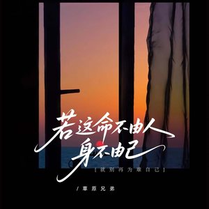 若这命不由人身不由己