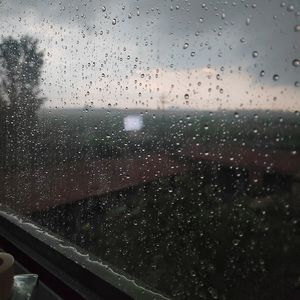 风筝终会有坠落的那天