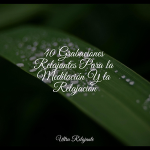 Desintoxicar el Cuerpo