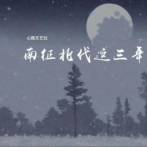 南征北伐这三年