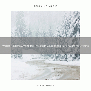 Christmas in the Woods with Classics and Forest Noises for Sleep