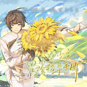 空桑少主冒险指导手册