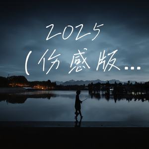 2025 (伤感版)