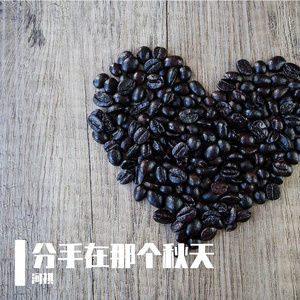 分手在那个秋天-河祺（原唱-莫叫姐姐）