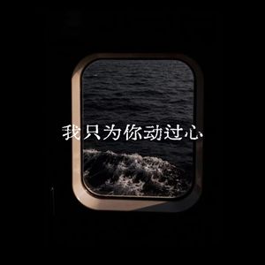 我只为你动过心