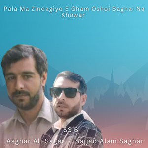 Pala Ma Zindagiyo E Gham Oshoi Baghai Na Khowar