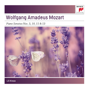 Piano Sonata No. 11 in A Major, K. 331:I. Theme and Variations. Andante grazioso