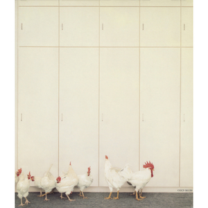 チェイサー (album version)