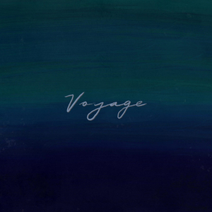 voyage (Feat. 금수)