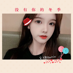 没有你的冬季