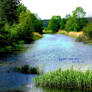 여름을 위한 시원한 멜로디