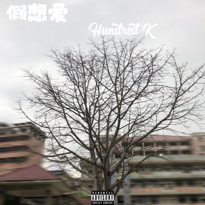 假想爱（Prod.cup）