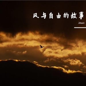 风与自由的故事