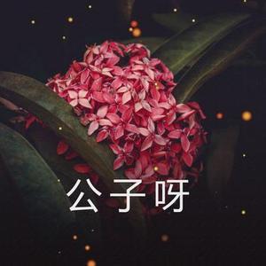 公子呀