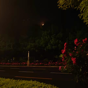 十八岁的夏天