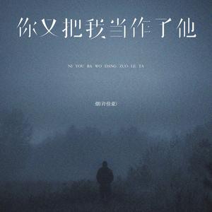 你又把我当作了他