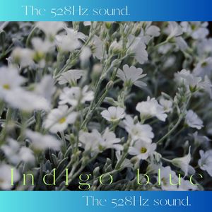 Indigo blue (feat. atsuki)