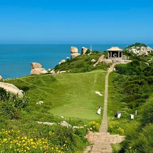 时光是片会飞的叶子