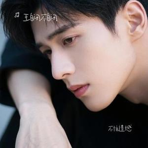 不怕遗憾 (Cover 独琴者)