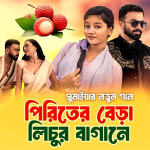 পিরিতের বেড়া লিচুর বাগানে