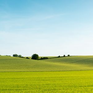 舒缓琴音与白噪伴你入眠