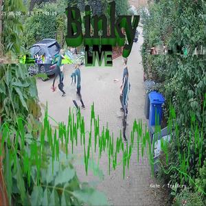 Bring on the Wall (Live)