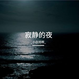 寂静的夜
