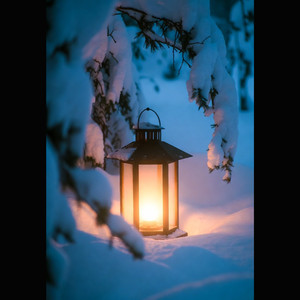 雪の灯