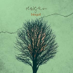 Bingol