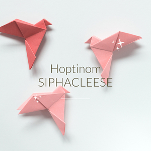 Hoptinom