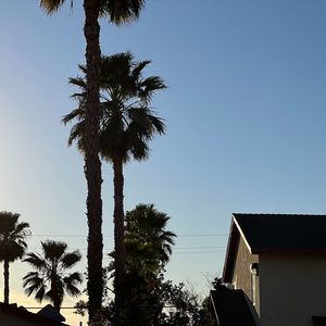 奉献（Cover 凌川夏）