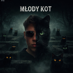 MŁODY KOT