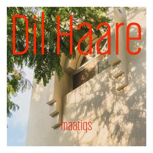 Dil Haare