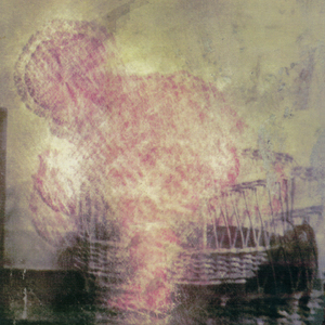 Forest By The Concubined Sea