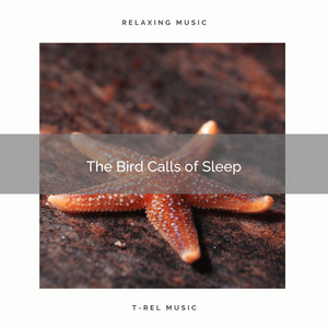 The Gentle Bird Calls of Recharge