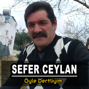Öyle Dertliyim