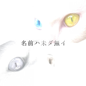 名前ハ未ダ無イ