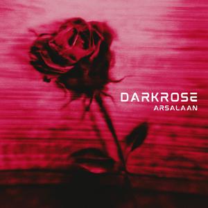 DARKROSE