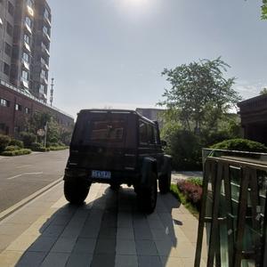 真心真意过一生