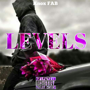 LEVELS