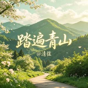 踏遍青山