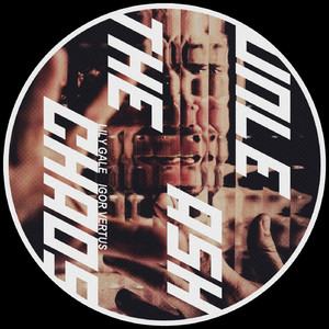 Unleash The Chaos (Original Mix)