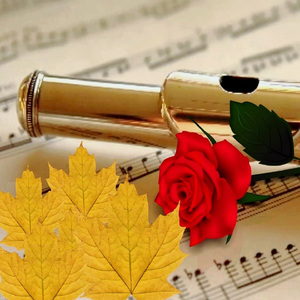 Fikrimin Ince Gülü (Yan Flüt Solo)