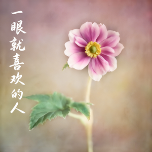 一眼就喜欢的人