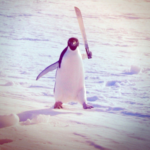 déjame solo leave me alone