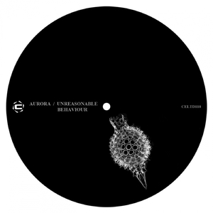Unreasonable Behaviour (Original Mix)