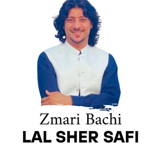Zmari Bachi